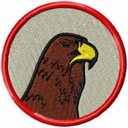 Eagle And Falcon Embroidery Design 1 Eagle And Falcon Embroidery Design 1